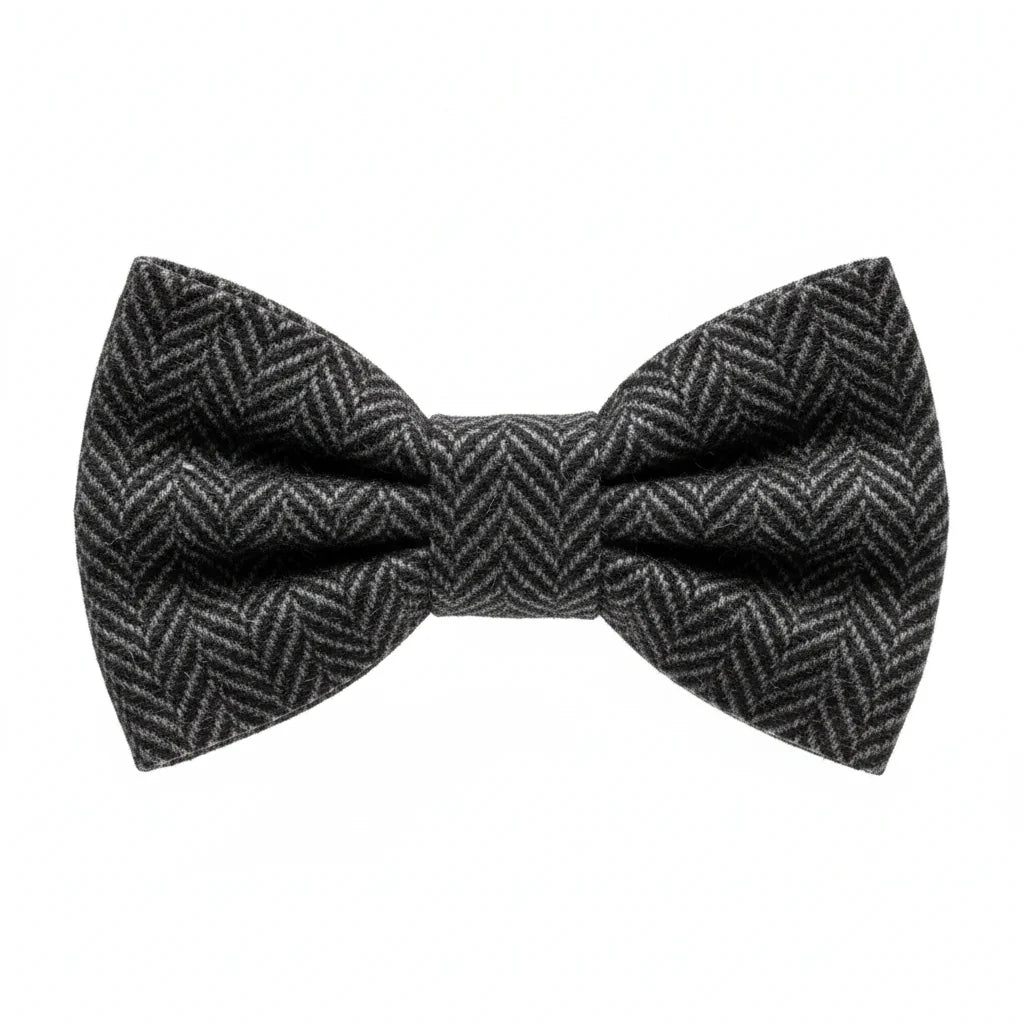 Bow Tie
